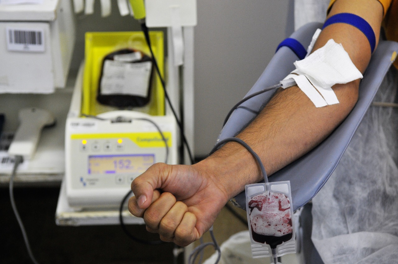 Hemocentro: Embaixadores do sangue ajudam a multiplicar a importância de doar vida