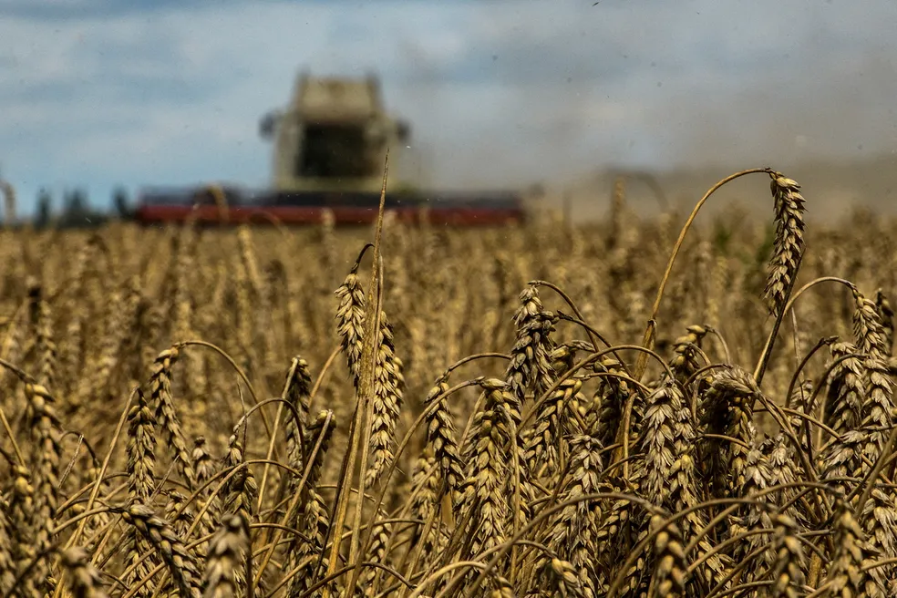 Invasão da Rússia à Ucrânia volta a encarecer trigo, mas impacto para o Brasil deve ser menor; entenda