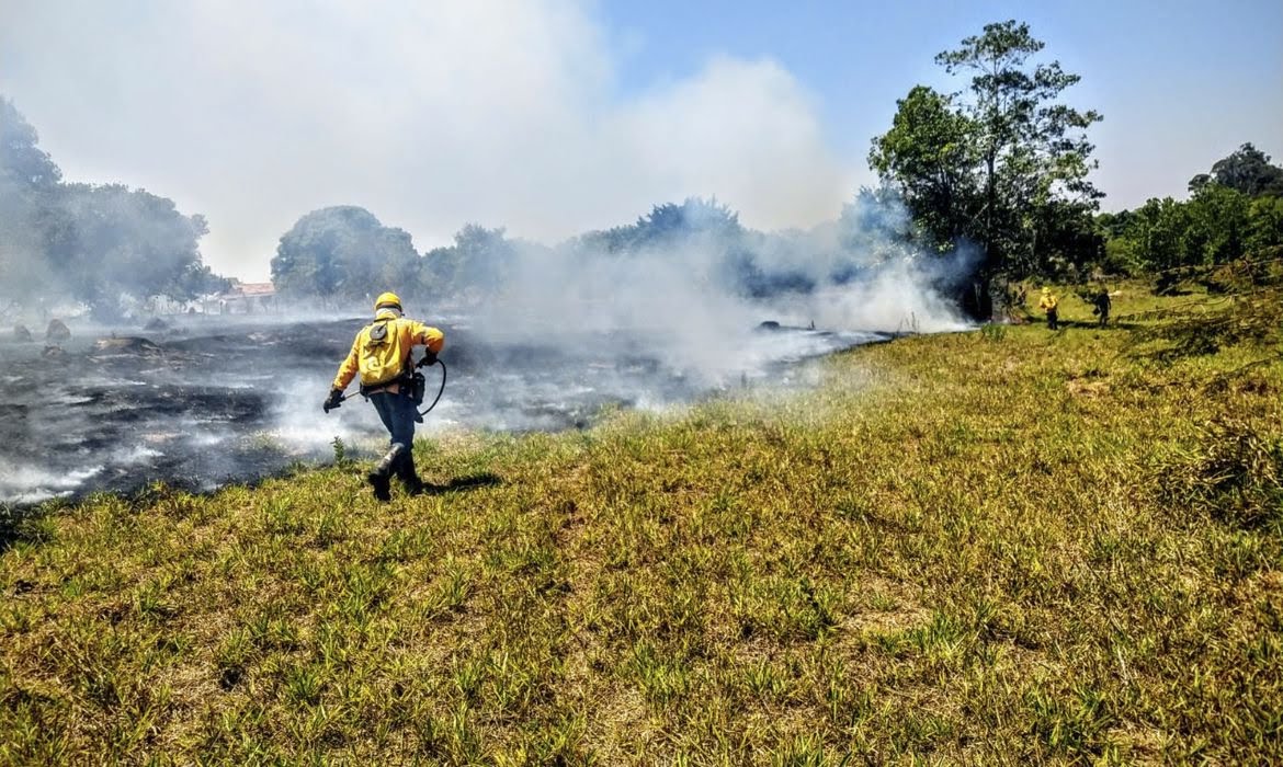 Brasil anuncia envio de ajuda ao Canadá para combate a incêndios florestais