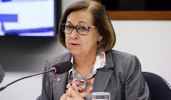 Lídice da Mata presidirá Frente Parlamentar em Defesa do Patrimônio Histórico e Cultural Brasileiro