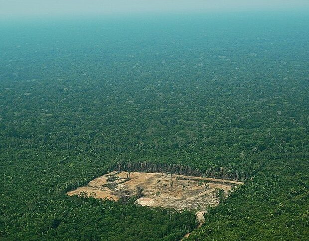 FILES-BRAZIL-ELECTION-AMAZONIA